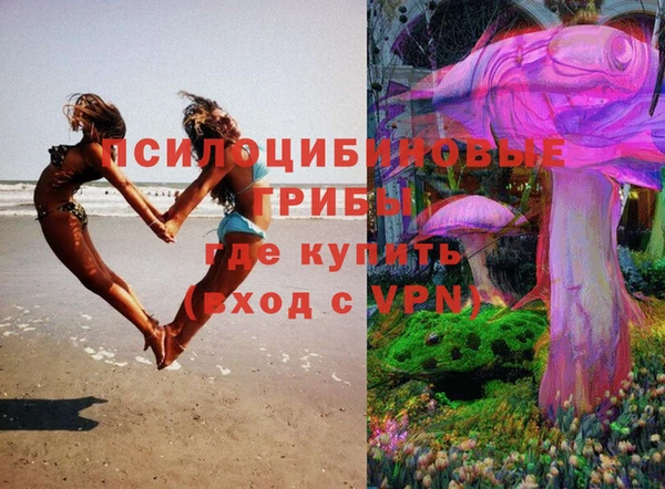 тгк Сосновый Бор