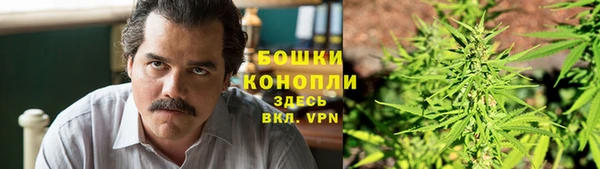 тгк Сосновый Бор