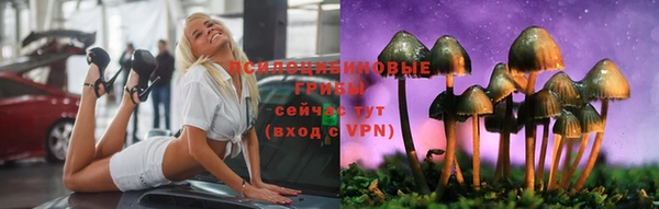 хмурый Снежинск