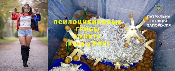 ПСИЛОЦИБИНОВЫЕ ГРИБЫ Сосновка