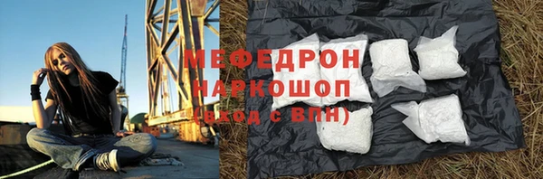 амф Снежногорск