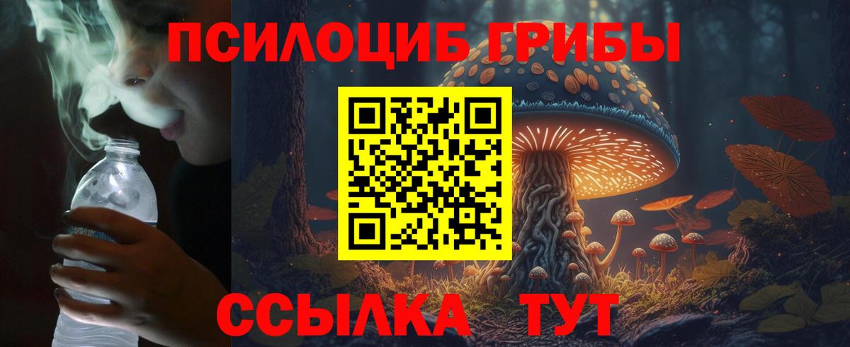 Амурск  хочу   Вход с VPN  Псилоцибиновые грибы GOLDEN TEACHER 